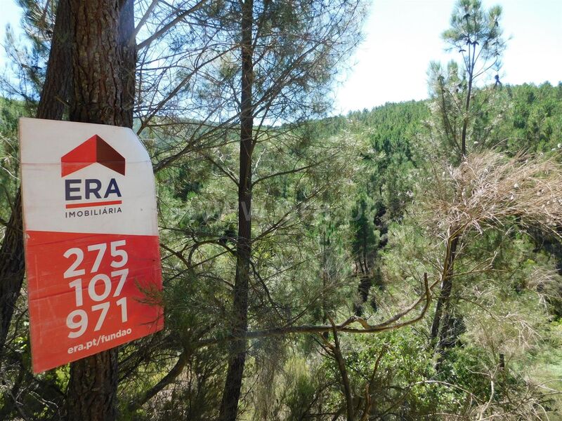 Terreno com 10000m2 Enxabarda Castelejo Fundão