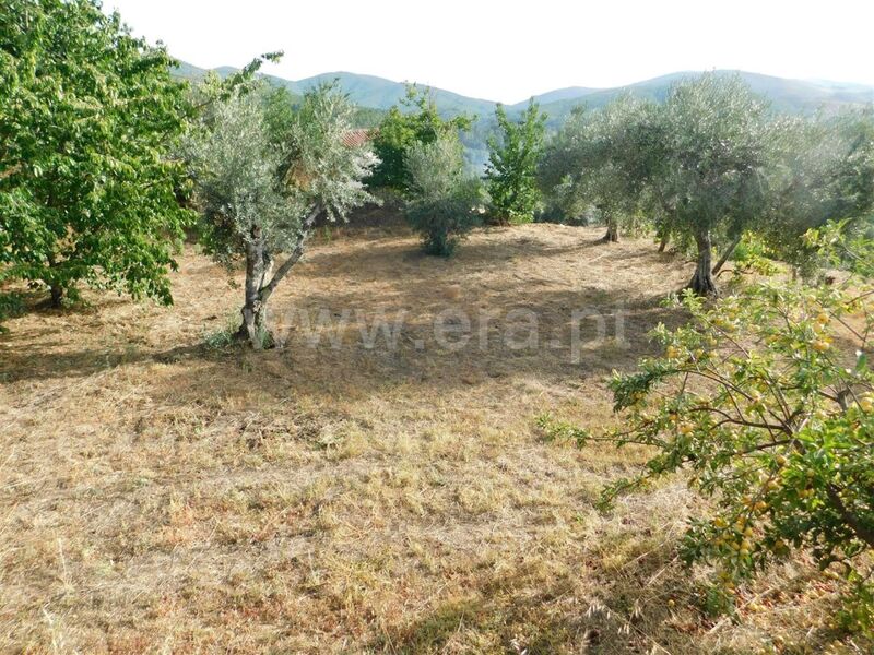 Small farm Souto da Casa Fundão - good access, construction viability