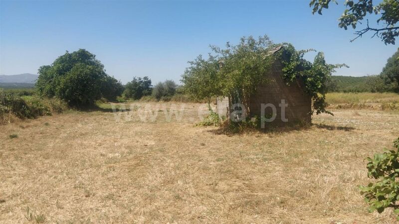 Terreno Agrícola com 1100m2 Capinha Fundão