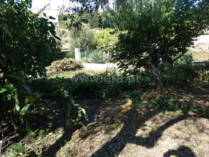 Land with 5000sqm Fatela Fundão - construction viability, fruit trees, water hole, shed, olive trees, water