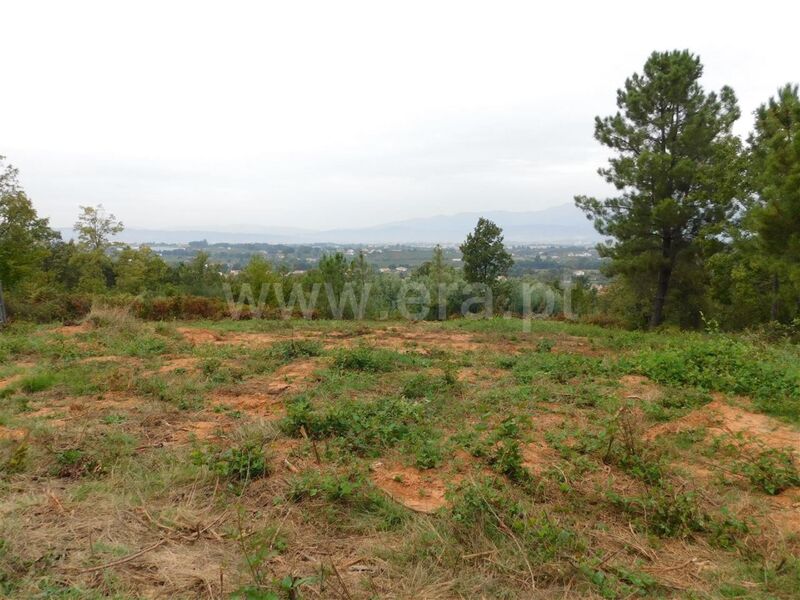 Land with 5000sqm Alcaide Fundão