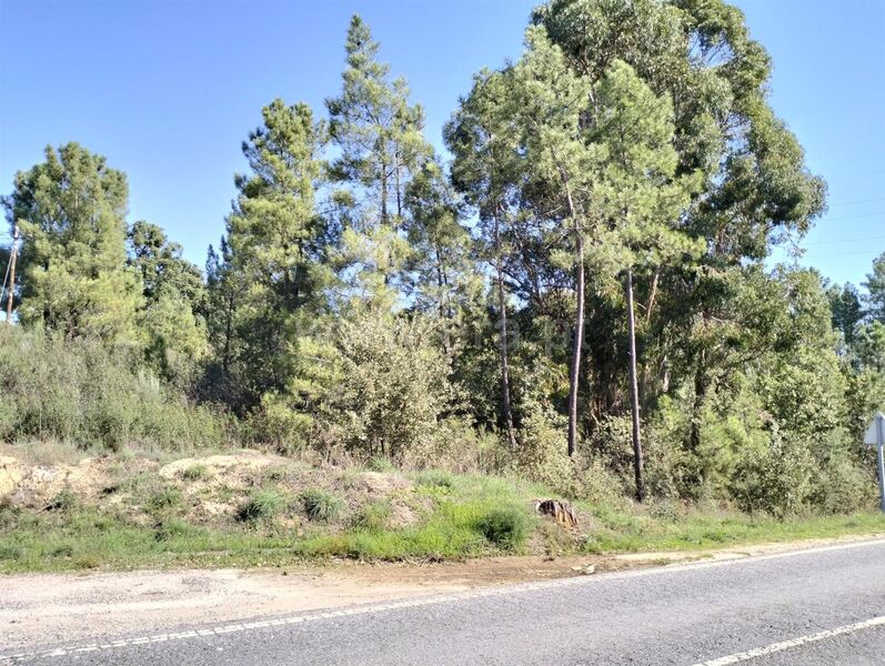 Land with 4400sqm Pêro Viseu Fundão - cork oaks