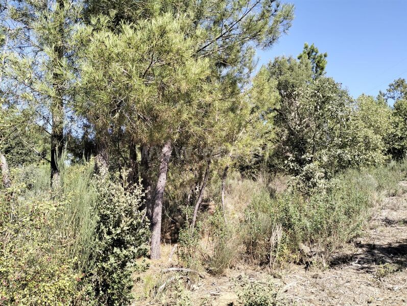 Land with 2000sqm Pêro Viseu Fundão