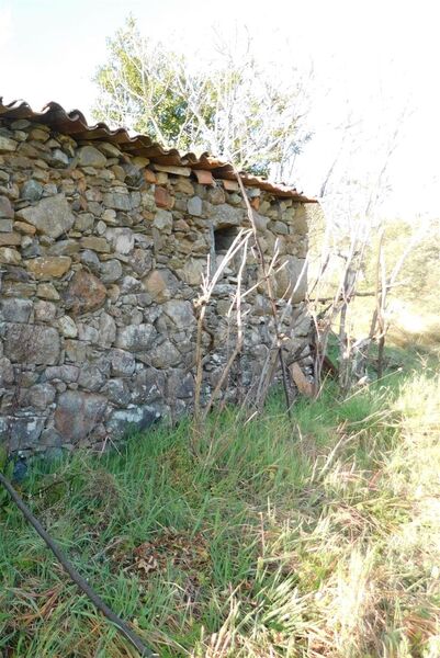 Terreno Agrícola com 3500m2 Castelejo Fundão para vender - bons acessos