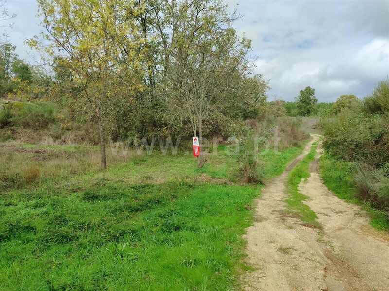 Land with 38750sqm Póvoa da Atalaia Fundão - easy access