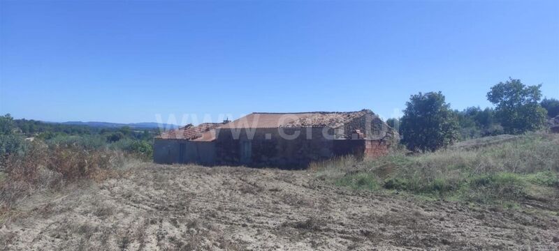 Quinta Martianas Orca Fundão