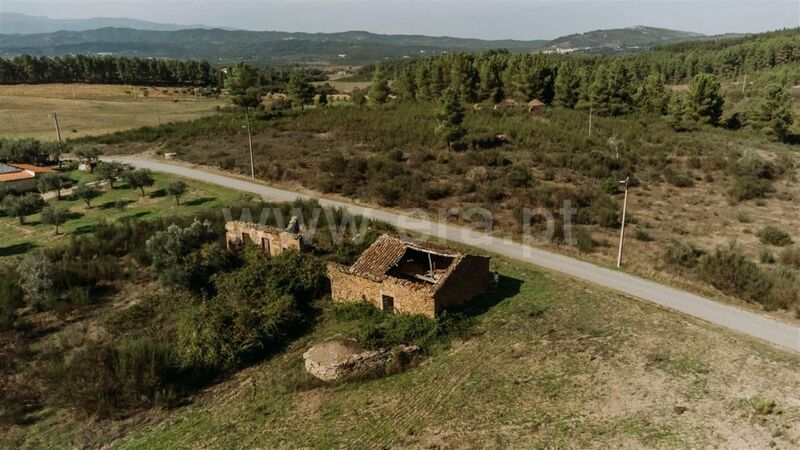 Farm Enxames Fundão - olive trees, cork oaks