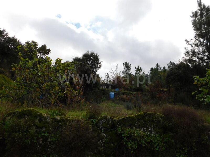 Land with 15000sqm Pêro Viseu Fundão - ,