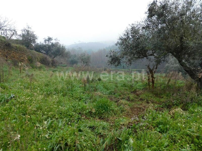 Land with 5000sqm Souto da Casa Fundão