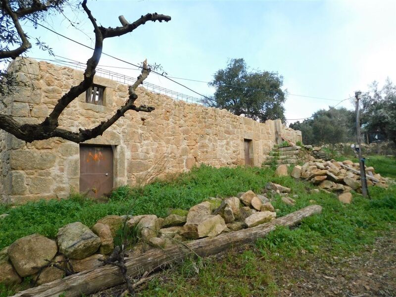 Quinta Mata da Rainha Fundão - árvores de fruto, água, poço, electricidade