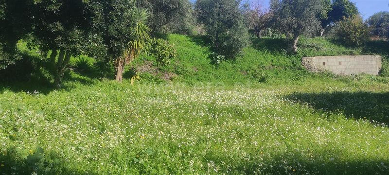 Land with 2080sqm Cortiçada Fundão - water, irrigated land, orange trees, olive trees