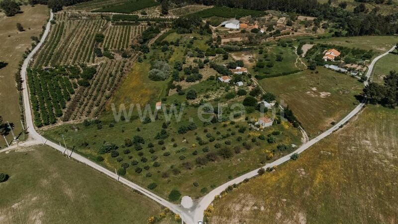 Земля c 19200m2 Vale Prazeres Fundão - вода, фруктовые деревья, колодец, электричество