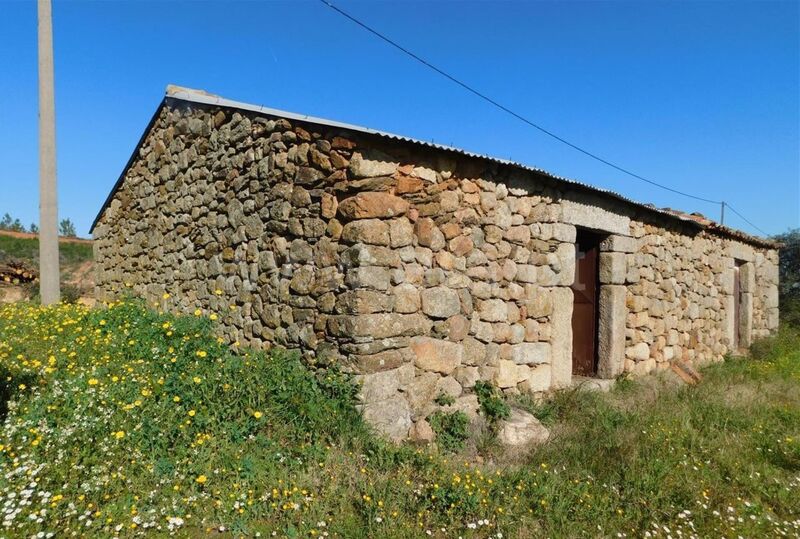 Small farm Catrão Fundão - water