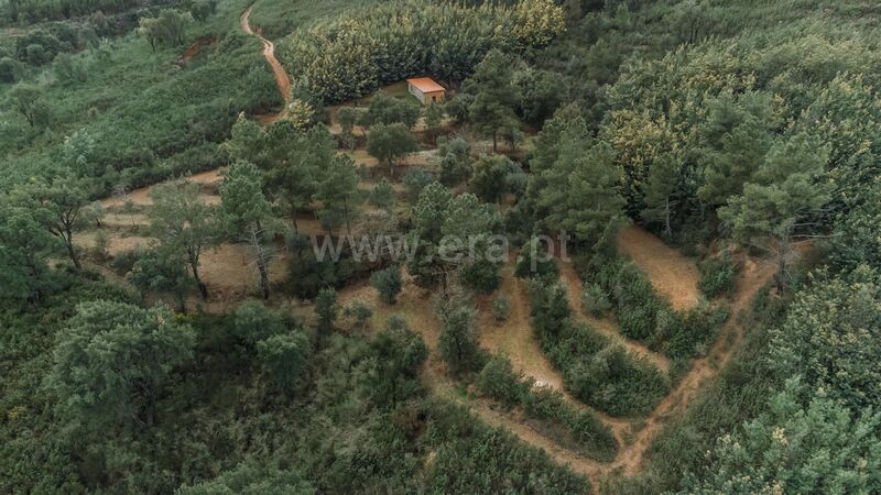 Land Agricultural with 9000sqm Telhado Fundão - water, arable crop