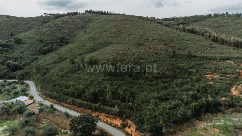 Terreno com 4000m2 Telhado Fundão