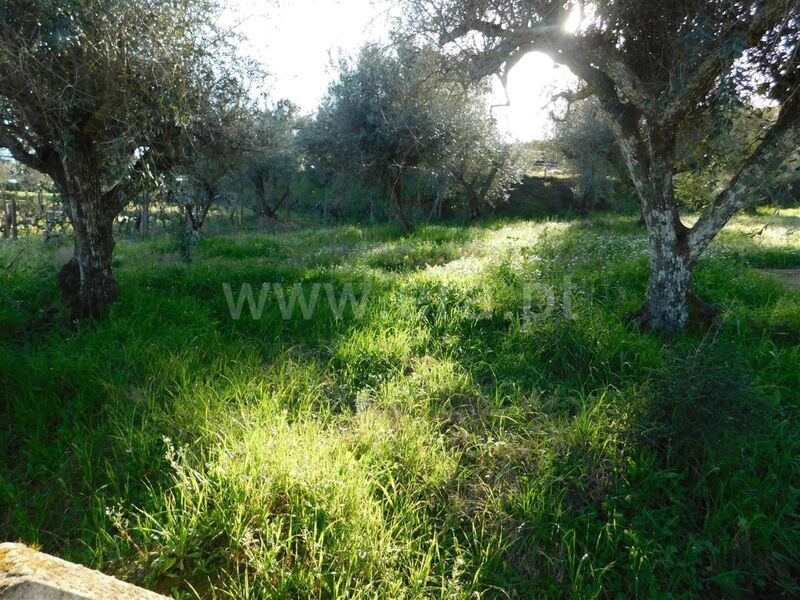 Land Agricultural with 600sqm Telhado Fundão