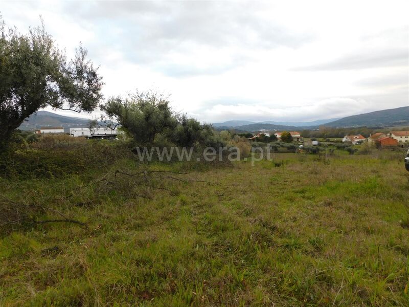 Land with 8000sqm Aldeia Nova Fundão - well, water, electricity, irrigated land, easy access