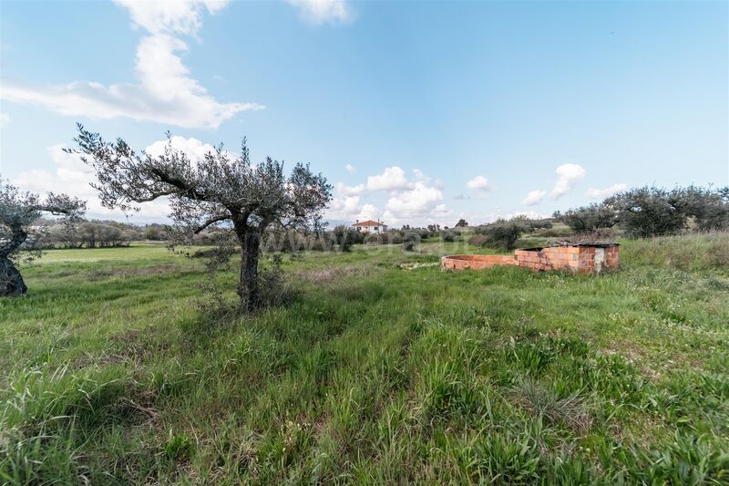 Land with 8000sqm Aldeia Nova Fundão - well, water, electricity, irrigated land, easy access