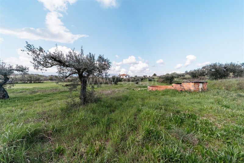 Terreno com 8000m2 Aldeia Nova Fundão - poço, água, electricidade, regadio, bons acessos