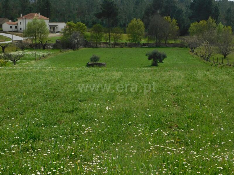 Land Agricultural with 7350sqm Enxames Fundão - well, water, olive trees, arable crop