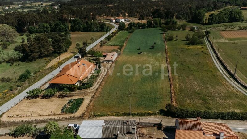 Land Agricultural with 7350sqm Enxames Fundão - well, water, olive trees, arable crop