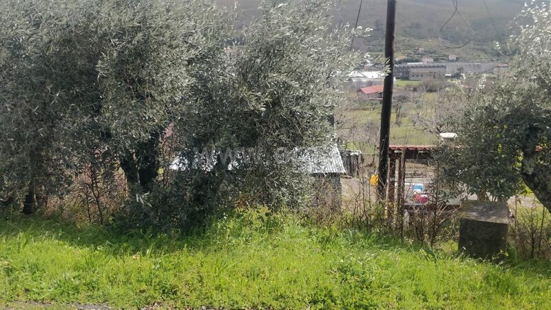 земля агрикультурный c 3110m2 Unhais da Serra Covilhã - свет, оливковые деревья, вода, тихая зона, полеводство, гараж