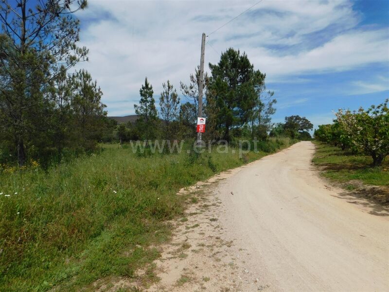 Terreno com 23442m2 Vale Prazeres Fundão - oliveiras, árvores de fruto, água