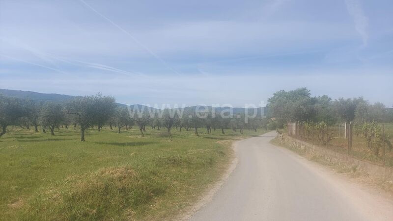 Land Agricultural with 9000sqm Alcaria Fundão - irrigated land, water