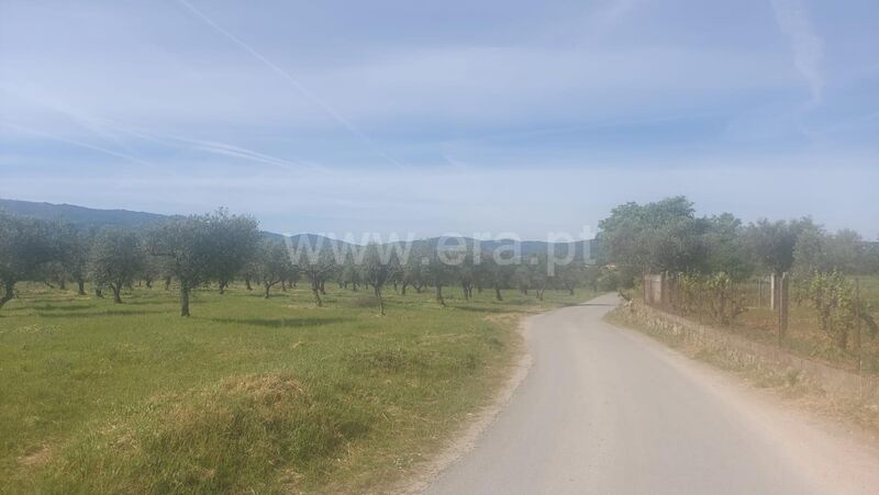 Terreno Agrícola com 9000m2 Alcaria Fundão - regadio, água