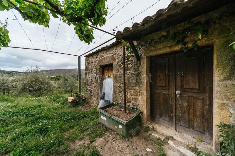 Quintinha V0 Aldeia Nova Telhado Fundão - árvores de fruto, água, regadio, cultura arvense, furo