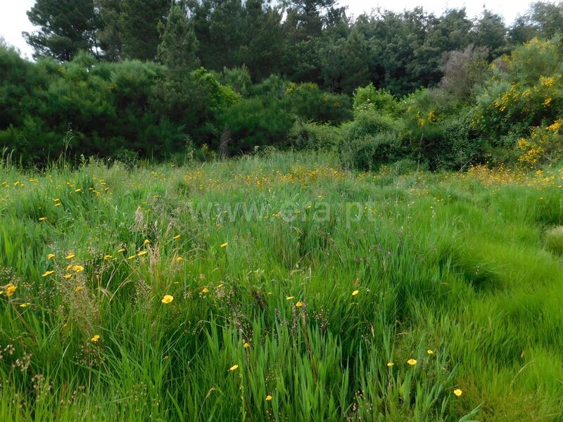 Terreno Agrícola com 1728m2 Enxabarda Castelejo Fundão - poço, electricidade