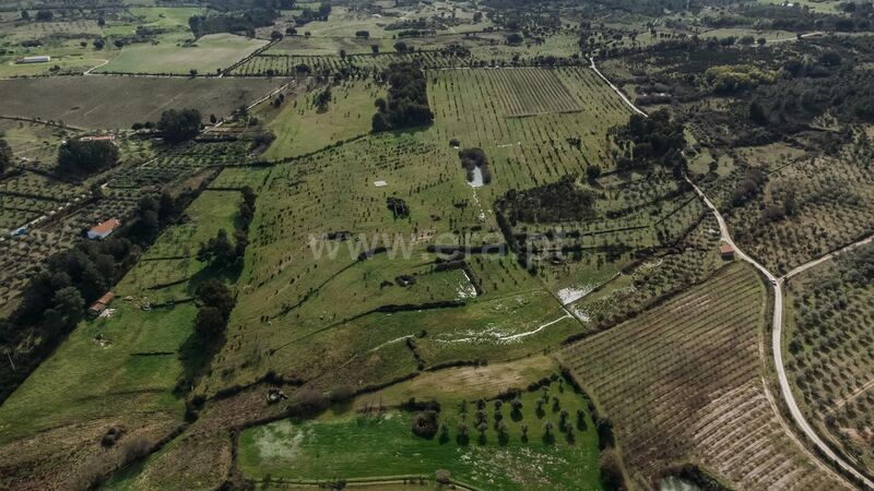 Homestead 0 bedrooms Atalaia do Campo Fundão - well, water, tank, excellent access, construction viability