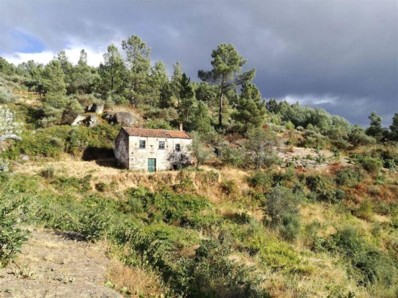 Quintinha V1 para recuperar Teixoso Covilhã - poço, electricidade, árvores de fruto, água