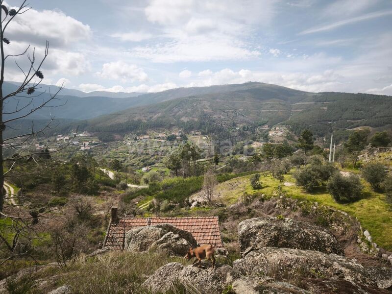 Small farm 1 bedrooms to recover Teixoso Covilhã - well, electricity, fruit trees, water