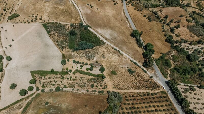 Small farm 1 bedrooms Vale Prazeres Fundão - fruit trees, olive trees, water, well, good access, electricity