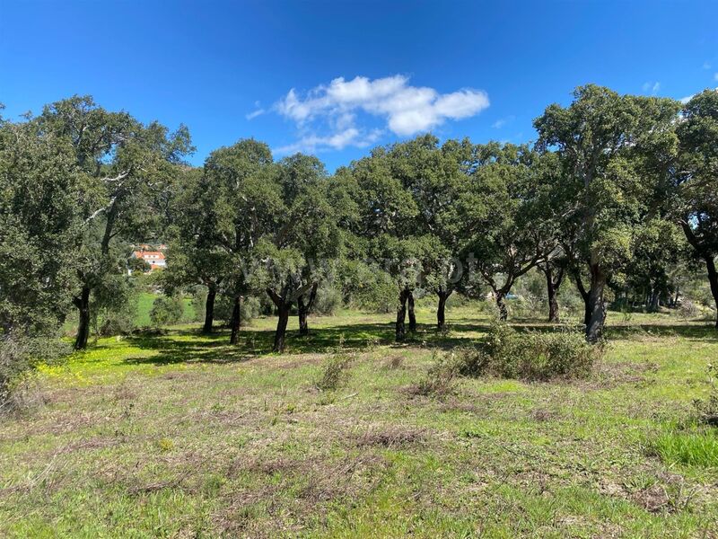 Terreno com 9000m2 Vale Prazeres Fundão - sobreiros, bons acessos