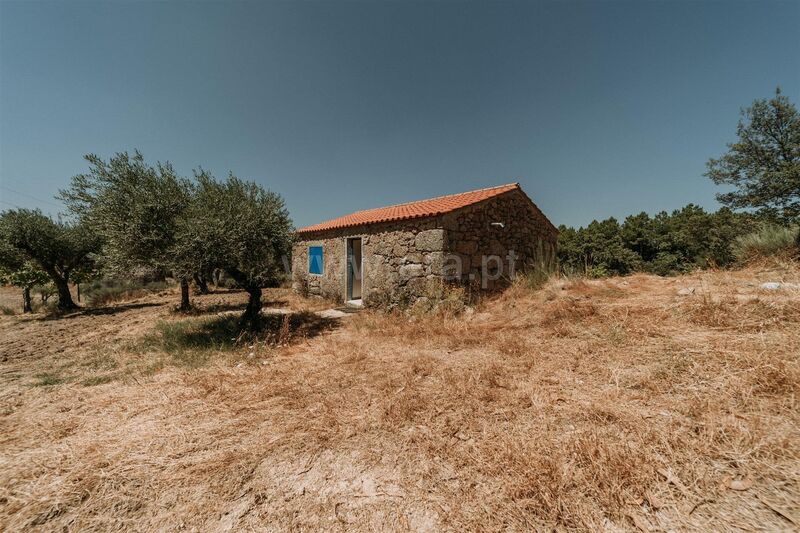 Farm V1 Martianas Orca Fundão - good access, well, fruit trees, tank, water
