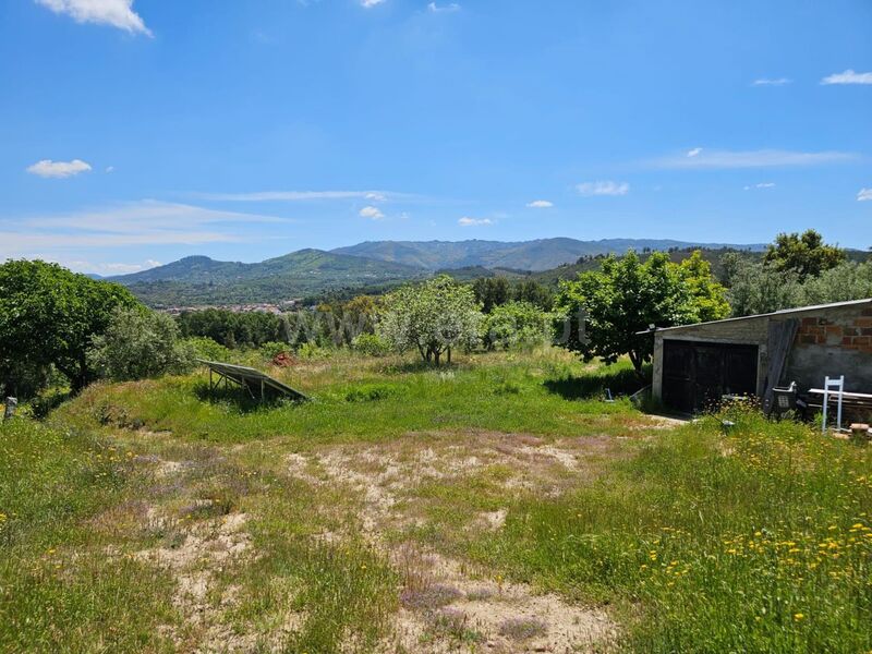 Small farm V1 Telhado Fundão - fruit trees, tank, good access, water