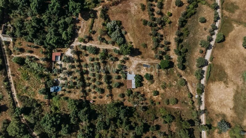 Small farm V1 Telhado Fundão - construction viability, fruit trees, water, tank, olive trees, good access, equipped