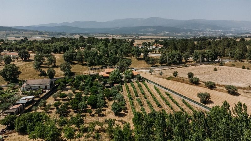 Small farm 3 bedrooms Aldeia Nova Fundão - garden, air conditioning, water hole, furnished, tank, irrigated land, olive trees, barbecue, water, fireplace, good access, automatic gate, well, fruit trees, water hole