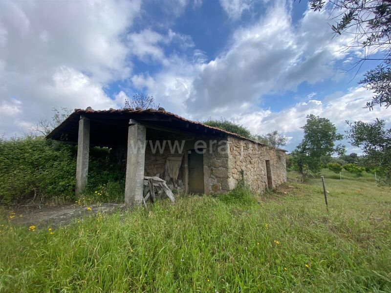 Small farm V1 to recover Soalheira Fundão - good access, tank, well, fruit trees, water