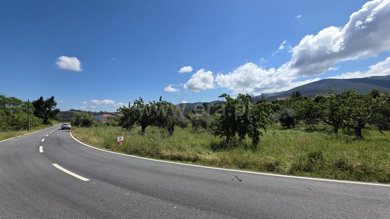 Terrain Agricole with 2006sqm Souto da Casa Fundão - bon accès, oliviers, eau, électricité, puits