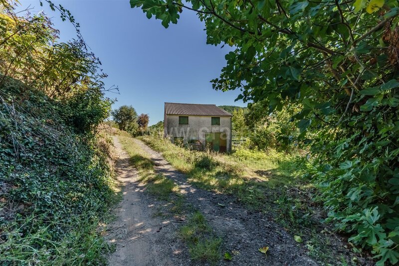 Quinta T1 / Fundão, Alcongosta