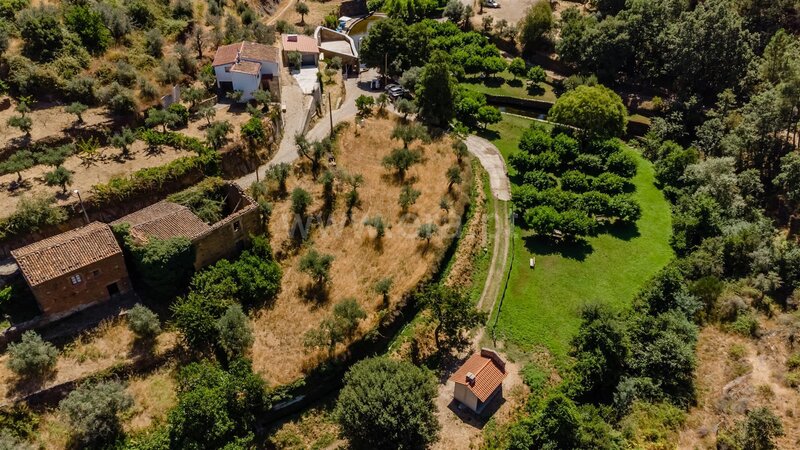 Terrain with 1400sqm Souto da Casa Fundão - accès facile, oliviers, arbres fruitiers