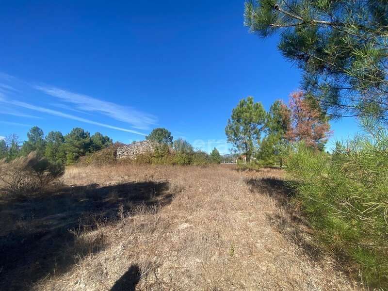 Quintinha T1 / Fundão, Aldeia de Joanes
