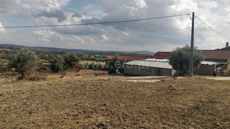 Farm / Covilhã, Teixoso e Sarzedo