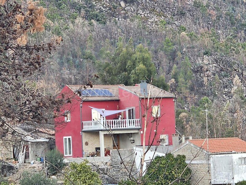 Small farm 2 bedrooms Louriçal do Campo Castelo Branco - furnished, olive trees, fruit trees, water, fireplace, equipped, terrace