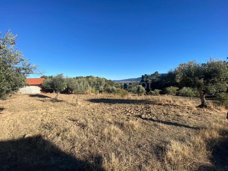 Farm / Fundão, Telhado