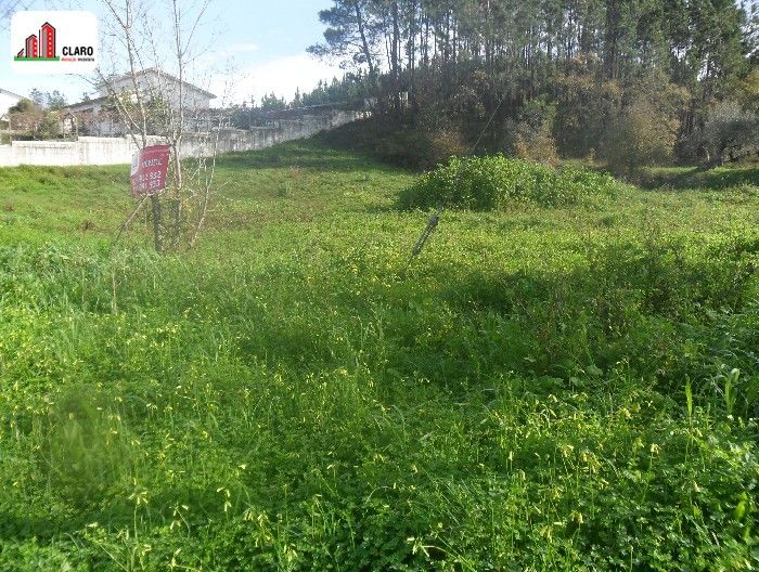 Terreno com 2534m2 Cernache Coimbra - viabilidade de construção