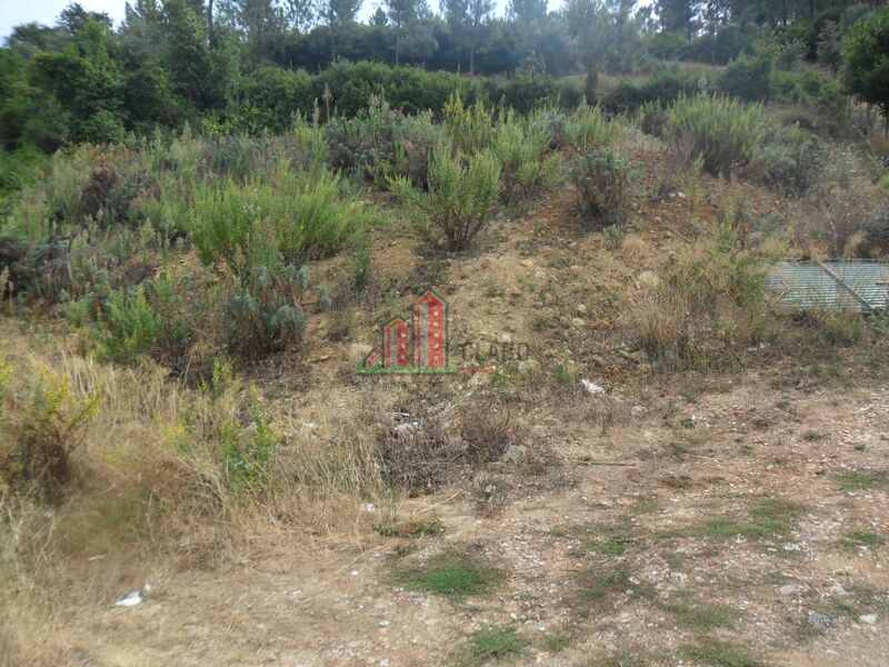 Land with 660sqm Eiras Coimbra - construction viability